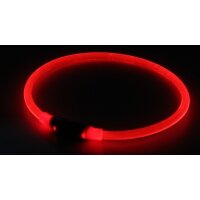 LED Collar Leuchtring rot